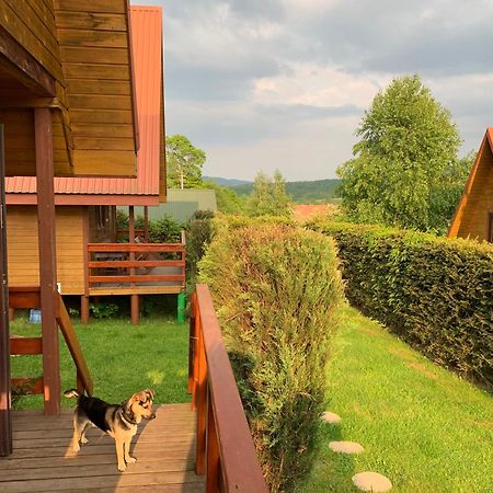 Domki Nad Solina Czarny Kot 509-797-777 Exterior foto