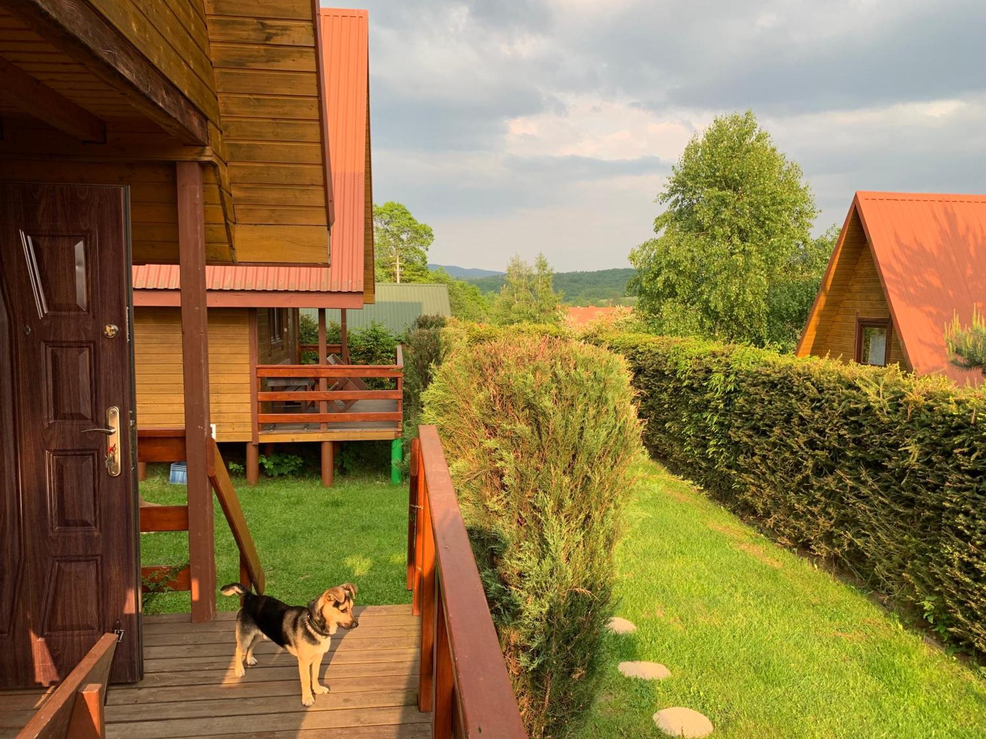 Domki Nad Solina Czarny Kot 509-797-777 Exterior foto