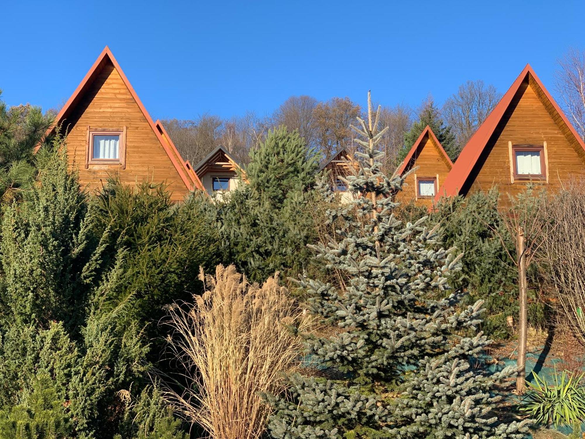 Domki Nad Solina Czarny Kot 509-797-777 Exterior foto