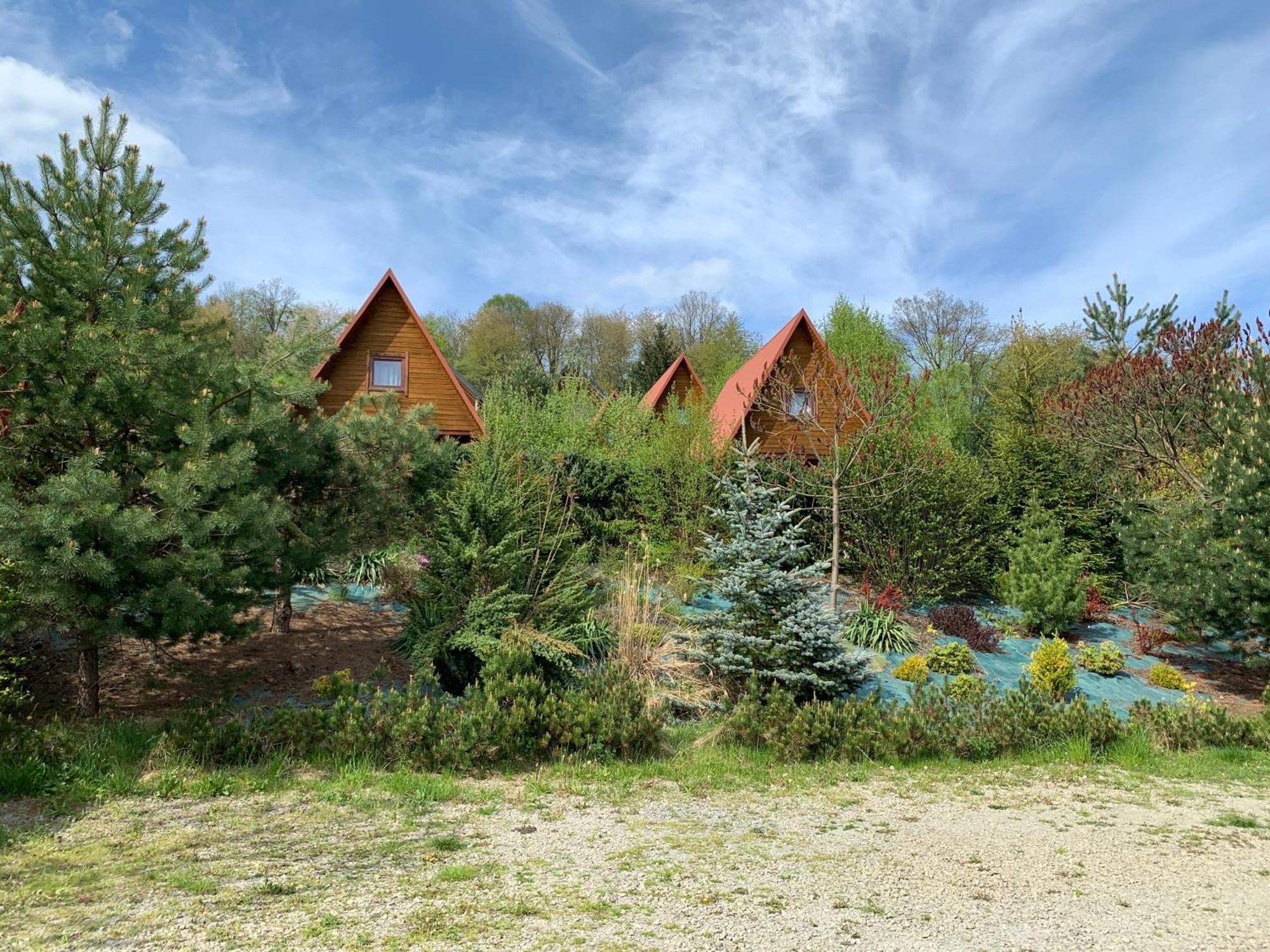 Domki Nad Solina Czarny Kot 509-797-777 Exterior foto